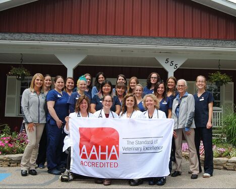 AAHA Accredited Veterinarian, Dr. Veo, Dr. Cowan, Dr. Vincent