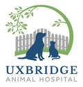 UXBRIDGE ANIMAL HOSPITAL