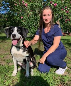 Meet Sam Uxbridge Animal Hospital Team