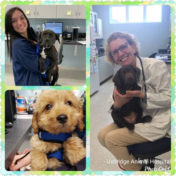 92128081-2996119050431843-2526716066097266688-o_orig