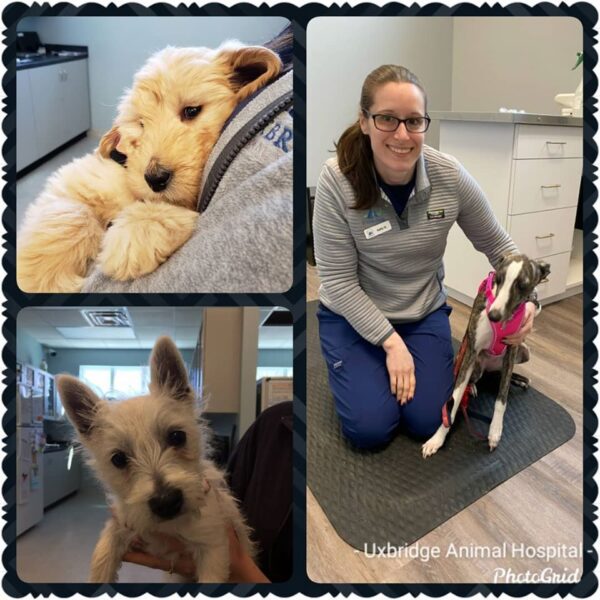 92146498-3007980575912357-3759278105596788736-o_orig