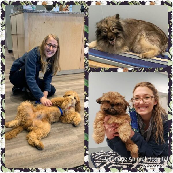 92470748-2998249050218843-3727783131890057216-o_orig