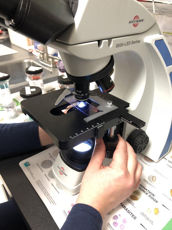 Laboratory facilities