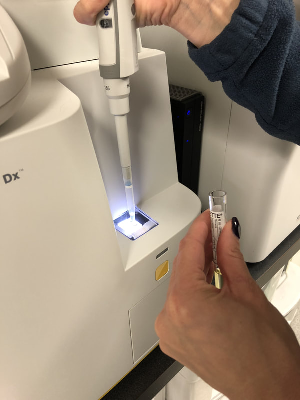 In-House veterinary testing